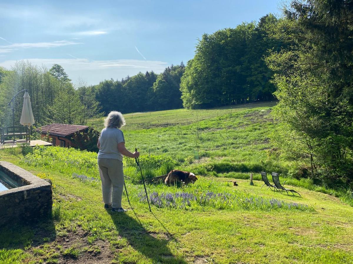 Gartenwohnung Im Gut Sonnenwald Schöllnach Eksteriør billede